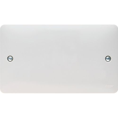 Picture of Twin Blank Plate