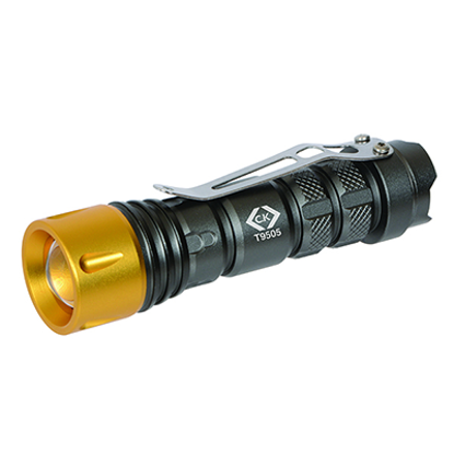 Picture of LED Hand Torch 100 Lumens